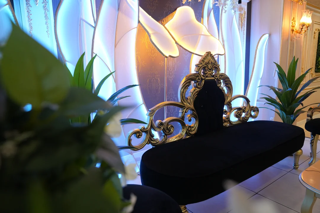 Doğum Günü Partisi